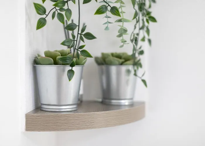 Casa de Férias Logis Du Roussillon *